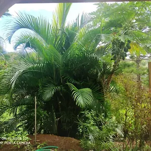 Tropicale Charmant T2 Dans Un Cadre Verdoyant Gros-Morne